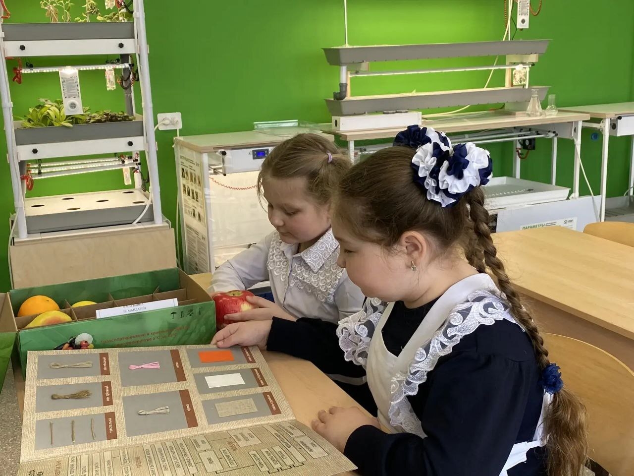 Экскурсия в агрокласс.